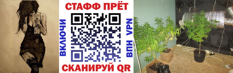 Виды наркоты Лаишево КОКАИН  СК  Гашиш  Каннабис  Меф мяу мяу 
