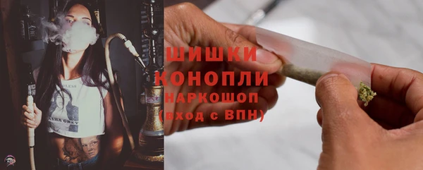 мдпв Рославль