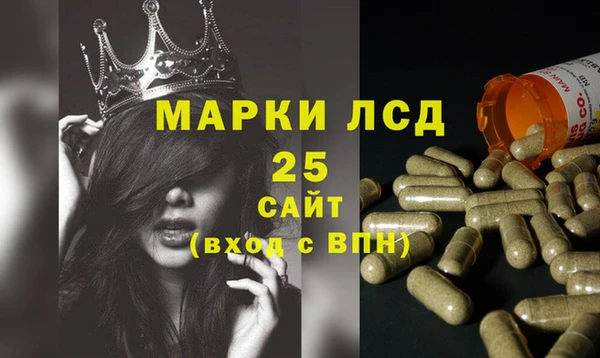 стафф Беломорск