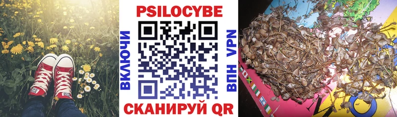 Галлюциногенные грибы Magic Shrooms  как найти закладки  Лаишево 